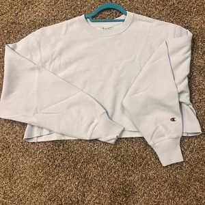 Champion Reverse Weave Crop